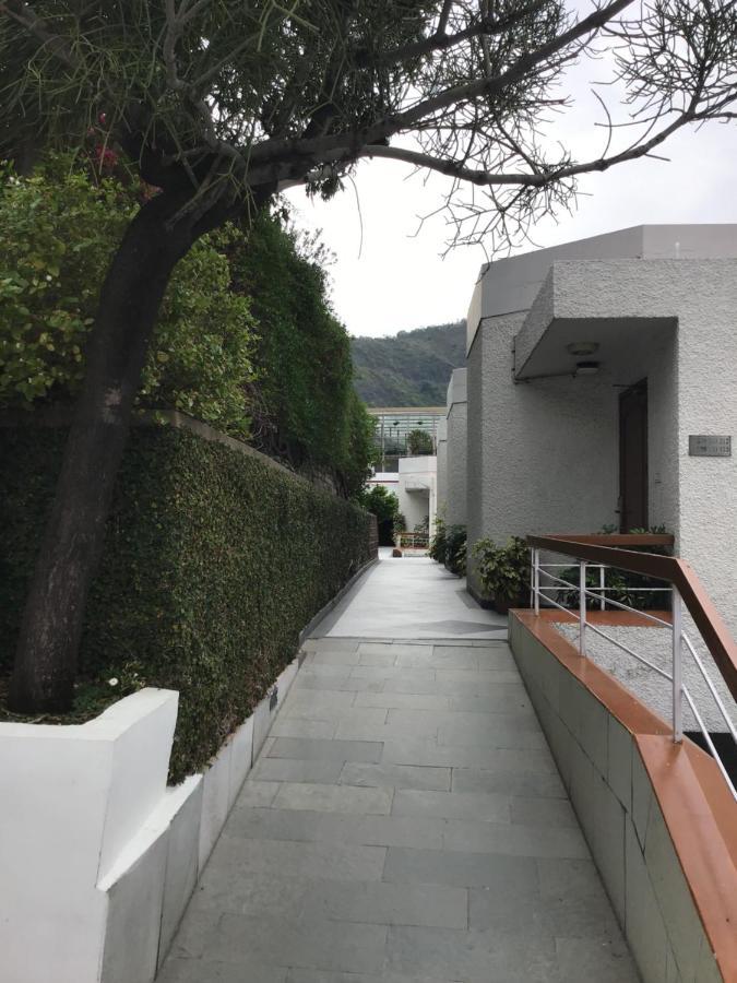 Timber Trail Base Resort - At The Foothills Of Adventure Parwanoo Exterior foto